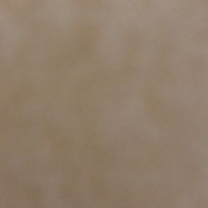 Meet your Posher, Lizzie